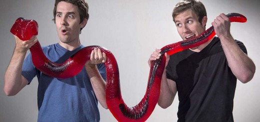 serpent python bonbon vat19