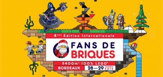 Expo Fans de Briques