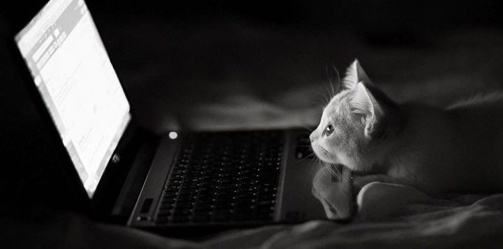 chats geek