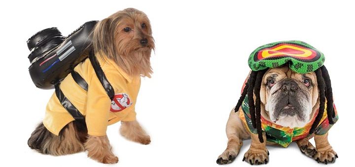 costumes chien halloween