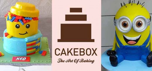 gateau geek cakebox luxembourg